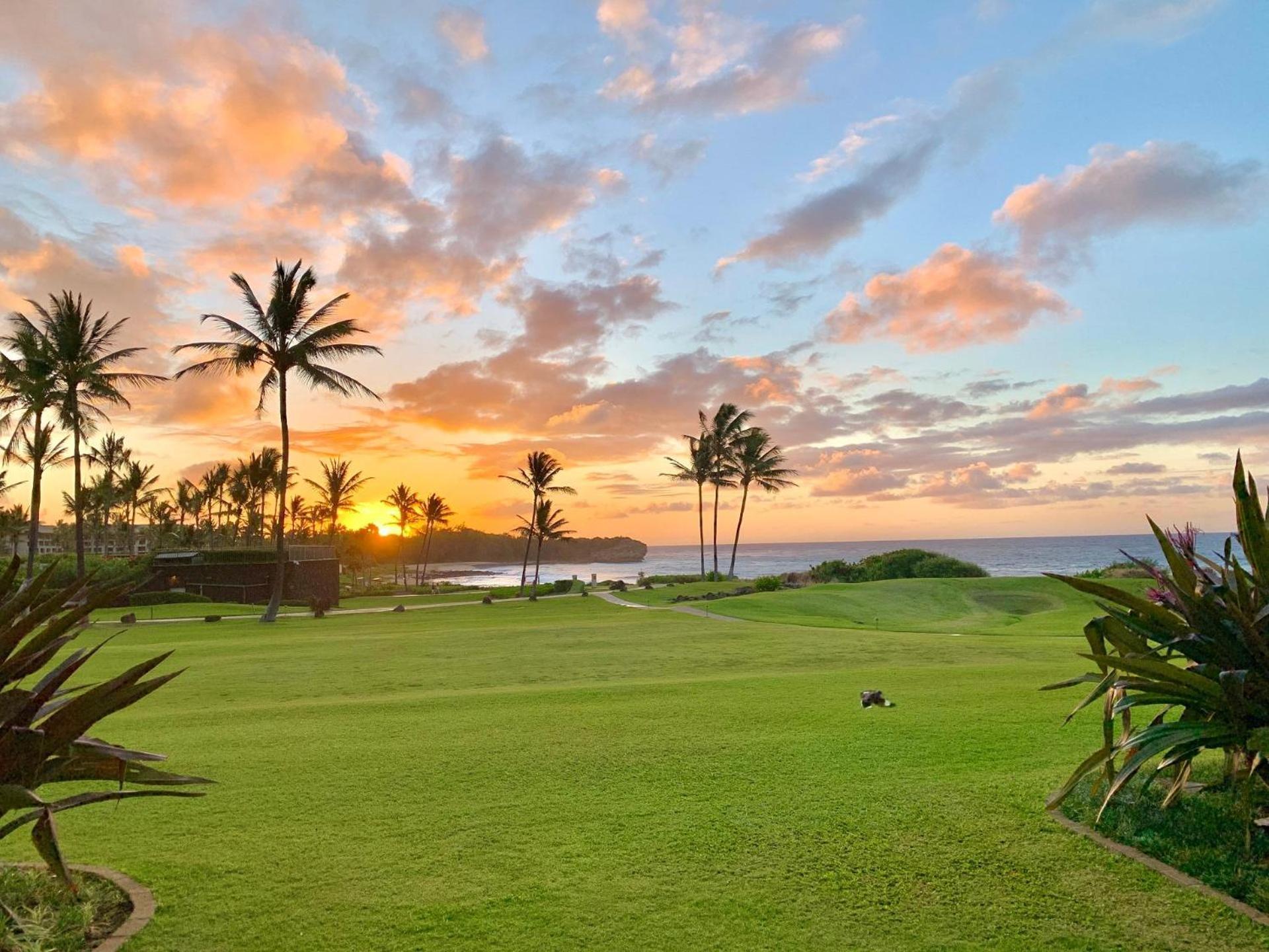 Poipu Sands 513 - Ocean Front Koloa Exterior foto